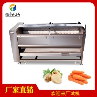 2.1米大型毛刷式清洗去皮一体机TS-M800