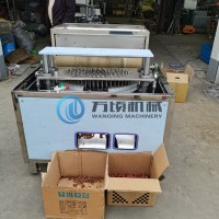 小型红枣去核机 不锈钢红枣去核机 转盘式红枣去核机