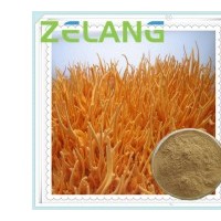 代加工虫草提取物，虫草浓缩粉，虫草粉，蛹虫草粉，生产厂家
