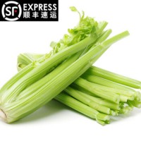 西芹新鲜 芹菜（发顺丰）大颗西芹榨汁 去叶净菜 农家香芹蔬菜 5斤
