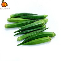 青尊园 秋葵1500g 新鲜蔬菜沙拉食材 水果黄秋葵 六角羊角豆