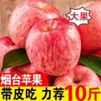 甜醉了 烟台苹果栖霞红富士新鲜水果生鲜果山东特产脆甜整箱批发脆甜平果