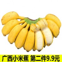 云南大香蕉当季新鲜水果薄皮香蕉自然熟高山香蕉 高山甜蕉 10斤【带箱9.5-10