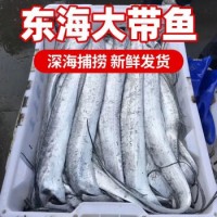 锦蜜姬 特大带鱼整条带鱼整箱装特大无冰衣渤海钓带鱼批发 1斤3条左右 10斤