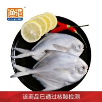 国产冷冻渤海白鲳鱼 银鲳鱼 平鱼 500g 4条 袋装 海捕 海鲜水产