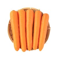 胡萝卜新鲜5斤水果萝卜脆甜生吃红心沙地罗卜现挖即食农家蔬菜