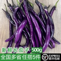 新鲜长茄子500g 杭茄 黑紫长线茄子 农家新鲜蔬菜