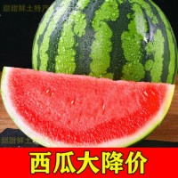 现摘超甜8424西瓜冰糖麒麟美都水果当季新鲜时令超甜孕妇营养瓜果 【冰糖麒麟瓜】5-6斤【实惠超值】