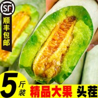 山东羊角蜜甜瓜新鲜水果现货5斤当季整箱羊角蜜瓜香瓜果酥羊角脆 整箱5斤