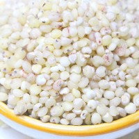 高粱米 东北特产食用粗粮新米脱壳白高梁米高粮米酿酒高粱散装 【精选】10斤白高粱米
