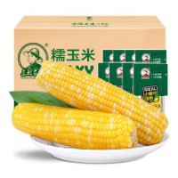 黄糯玉米 200g*8支 ≥1.6kg 真空包装 黄白糯玉米 火锅烧烤速食食材 产地吉林