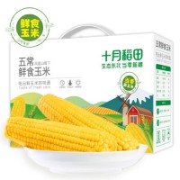 五常鲜食玉米 2.2kg（220g*10）（ 甜糯玉米棒 轻食 真空装 中秋杂粮礼盒 当季玉米）