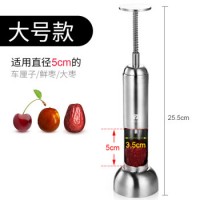 红枣去核器枣樱桃除枣核神器家用枣子机掏取籽心的工具家用挖大枣 加大号（直径3.5cm内大号枣）