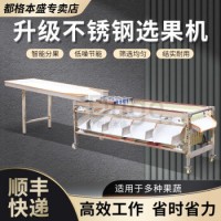 都格（Duge） 多功能水果分选机全自动选果机水果百香果橙子李子橘子大小冬枣筛选机 6轨道侧入式 带挡板 调速