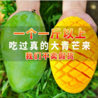 越南品种大青芒 1个1斤以上热带新鲜水果青皮芒非澳芒金煌水仙芒