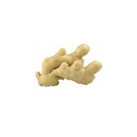 老姜 约500g 烧烤食材 产地直供 新鲜蔬菜 国家地理标志产品